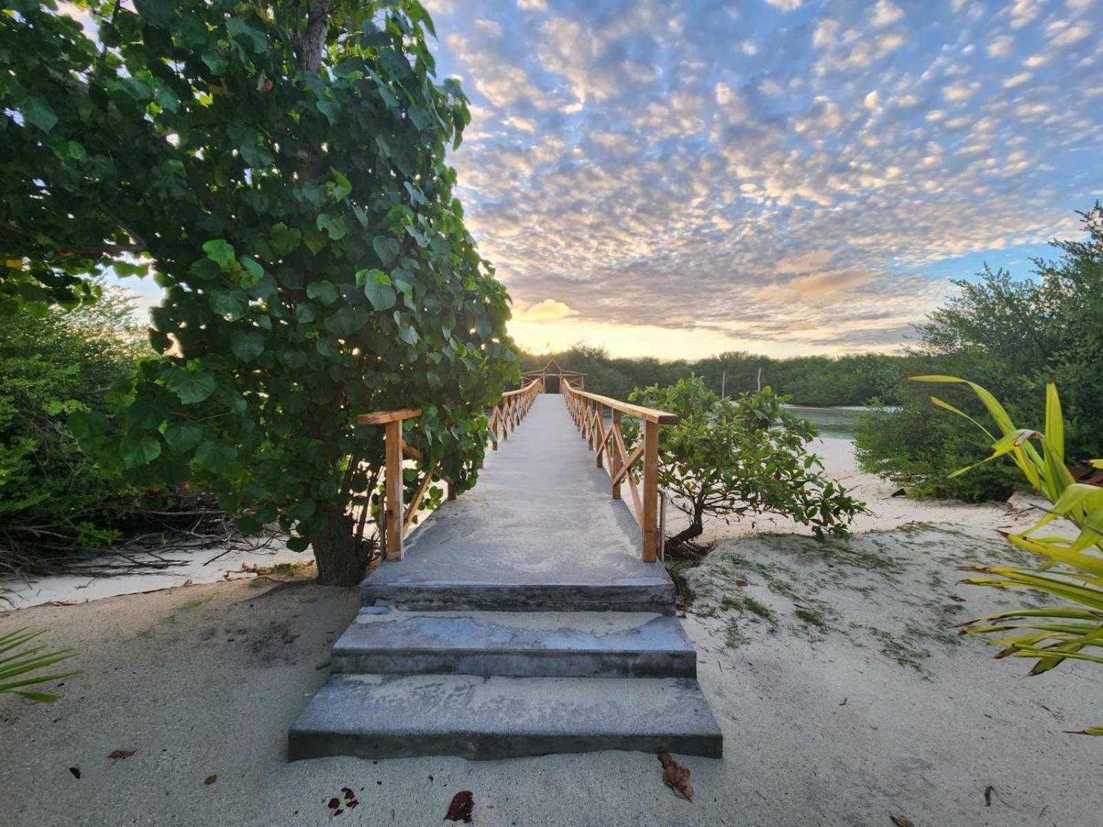 Surf Deck Hotel Thulusdhoo Bagian luar foto